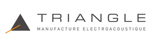 Triangle Logo