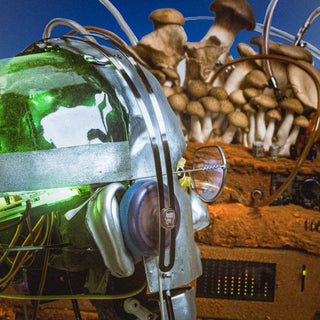 AIAIAI: Tracks Headphones w/ Mic - Brain Dead Edition