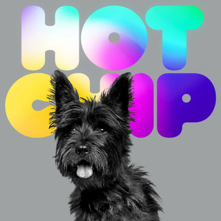 Hot Chip: A Long Way From Kansas Vinyl 2LP - cover art