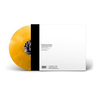 William Basinski: Passing The Cup of Sorrows (Colored Vinyl) Vinyl LP
