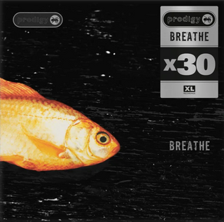 The Prodigy: Breathe x30 Vinyl 12" - PRE-ORDER