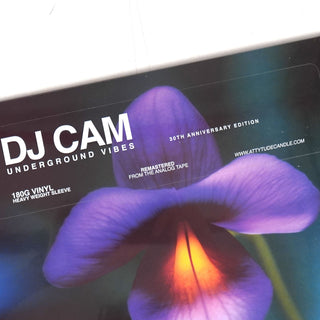 DJ Cam: Underground Vibes - 30th Anniversary Edition (180g) Vinyl LP