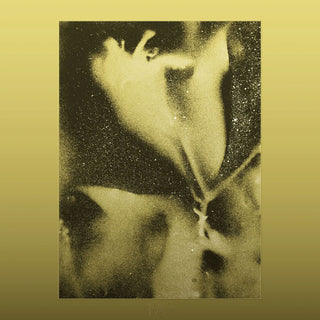 Flying Lotus: 1983 Vinyl LP
