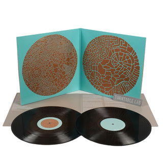 Hot Chip: Made In The Dark Vinyl 2LP