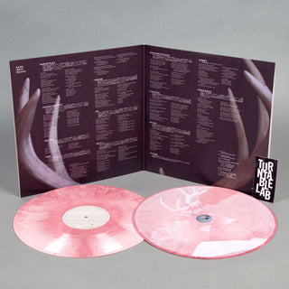 Racing Mount Pleasant: Racing Mount Pleasant (Colored Vinyl) Vinyl 2LP - Turntable Lab Exclusive