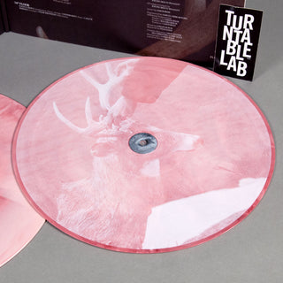 Racing Mount Pleasant: Racing Mount Pleasant (Colored Vinyl) Vinyl 2LP - Turntable Lab Exclusive
