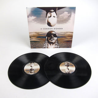 Amerigo Gazaway: Common Wonder (Common vs. Stevie Wonder) Vinyl 2LP