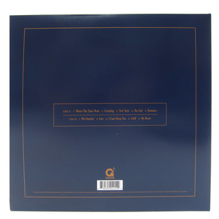 Ex-Re: Ex: Re (Daughter) Vinyl LP
